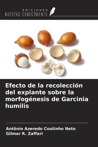 Efecto de la recolección del explante sobre la morfogénesis de Garcinia humilis