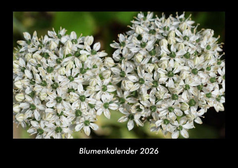 Blumenkalender 2026 Fotokalender DIN A3