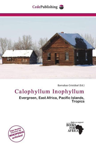 Calophyllum Inophyllum