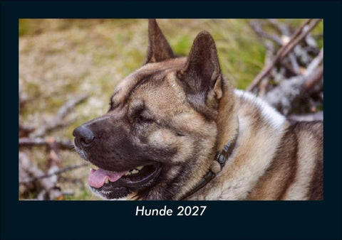 Hunde 2027 Fotokalender DIN A5