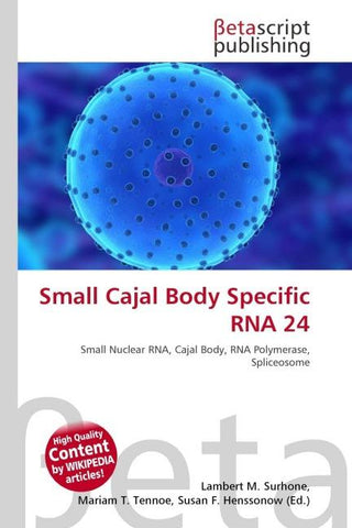 Small Cajal Body Specific RNA 24