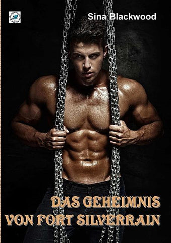 Das Geheimnis von Fort Silverrain