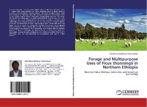 Forage and Multipurpose Uses of Ficus thonningii in Northern Ethiopia