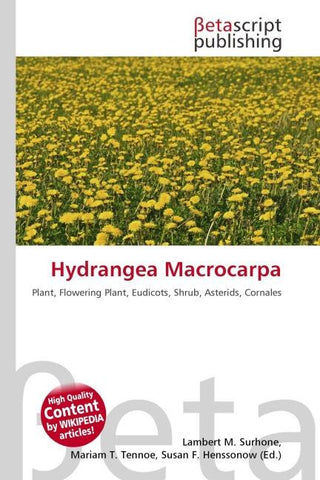 Hydrangea Macrocarpa