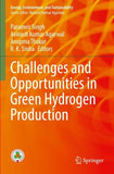 Challenges and Opportunities in Green Hydrogen Production