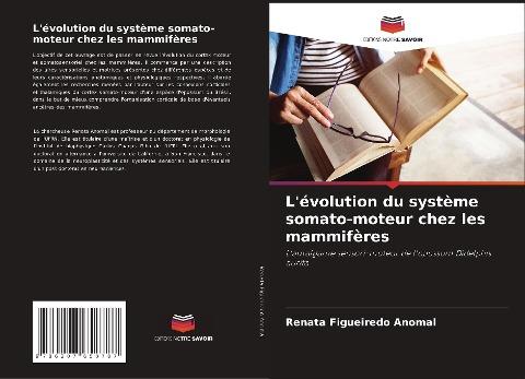 L'évolution du système somato-moteur chez les mammifères
