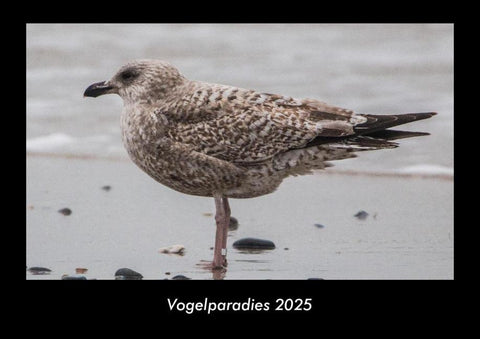 Vogelparadies 2025 Fotokalender DIN A3