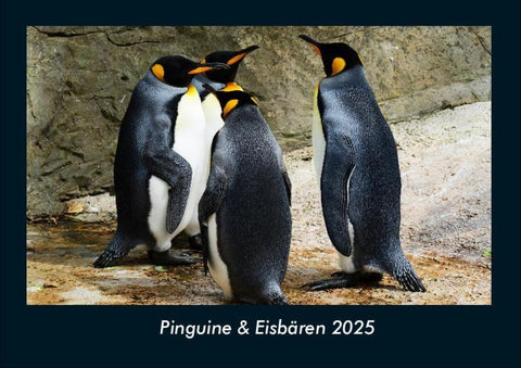 Pinguine & Eisbären 2025 Fotokalender DIN A4