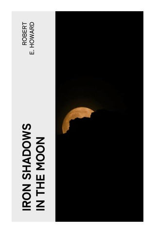 Iron Shadows in the Moon