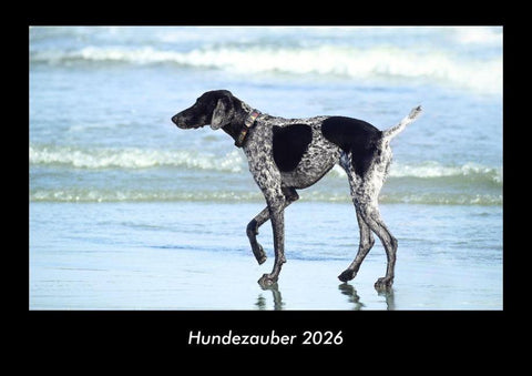 Hundezauber 2026 Fotokalender DIN A3