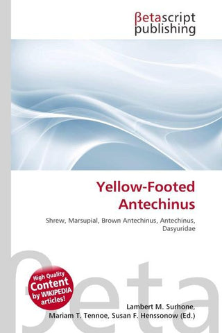 Yellow-Footed Antechinus