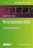 Neuroprotection