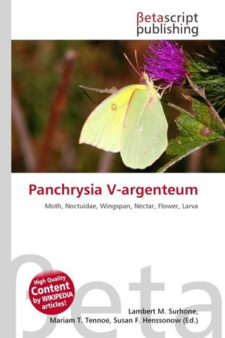 Panchrysia V-argenteum