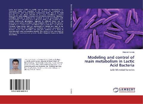 Modeling and control of main metabolism in Lactic Acid Bacteria
