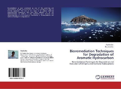 Bioremediation Techniques for Degradation of Aromatic Hydrocarbon