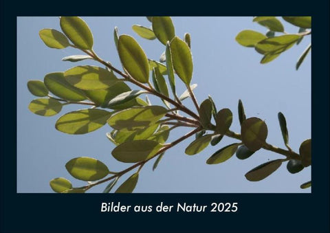Bilder aus der Natur 2025 Fotokalender DIN A4