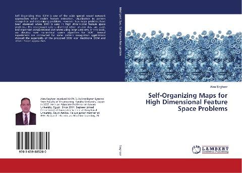 Self-Organizing Maps for High Dimensional Feature Space Problems