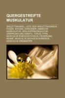 Quergestreifte Muskulatur