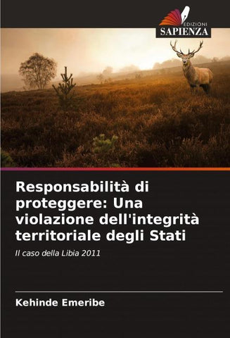 Responsabilità di proteggere: Una violazione dell'integrità territoriale degli Stati
