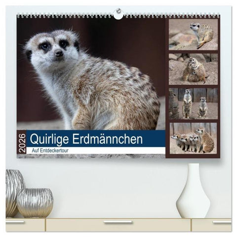 Quirlige Erdmännchen (hochwertiger Premium Wandkalender 2026 DIN A2 quer), Kunstdruck in Hochglanz