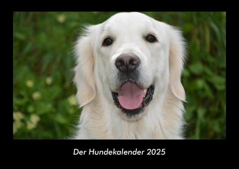 Der Hundekalender 2025 Fotokalender DIN A3