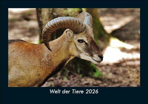 Welt der Tiere 2026 Fotokalender DIN A5