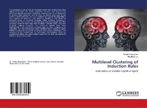Multilevel Clustering of Induction Rules
