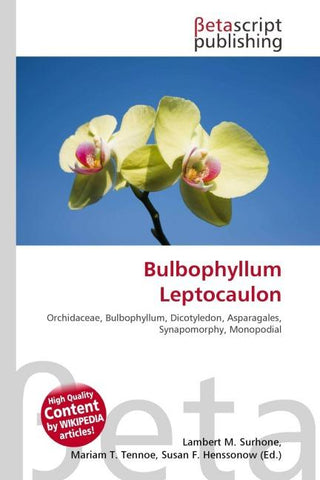 Bulbophyllum Leptocaulon