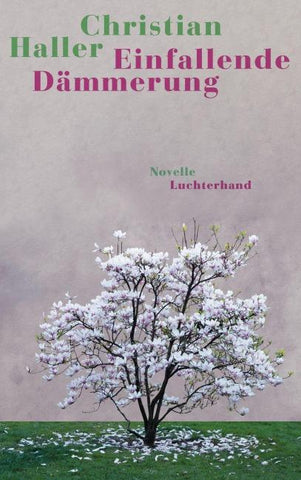 Einfallende Dämmerung