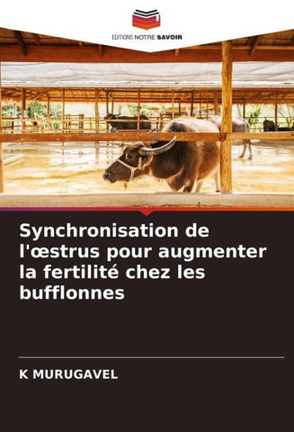 Synchronisation de l'¿strus pour augmenter la fertilité chez les bufflonnes