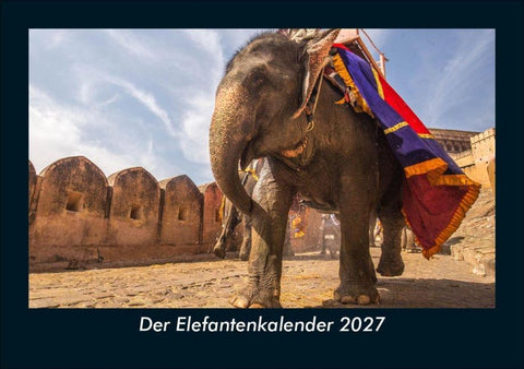 Der Elefantenkalender 2027 Fotokalender DIN A5