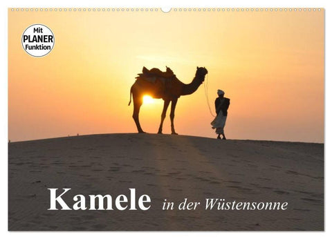 Kamele in der Wüstensonne (Wandkalender 2026 DIN A2 quer), CALVENDO Monatskalender