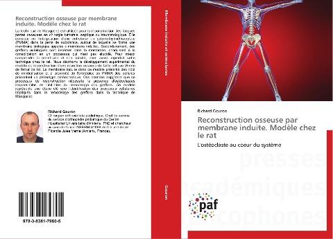 Reconstruction osseuse par membrane induite. Modèle chez le rat