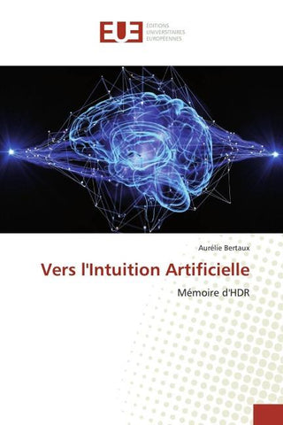 Vers l'Intuition Artificielle