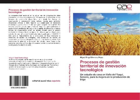 Procesos de gestión territorial de innovación tecnológica