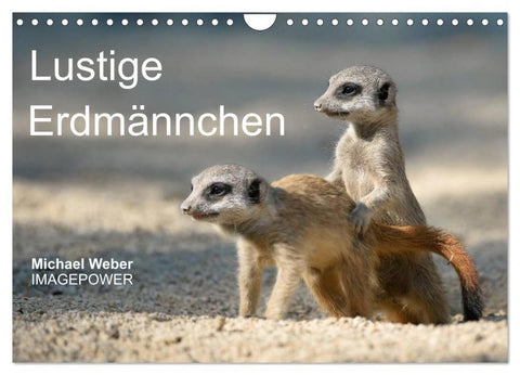 Lustige Erdmännchen (Wandkalender 2026 DIN A4 quer), CALVENDO Monatskalender