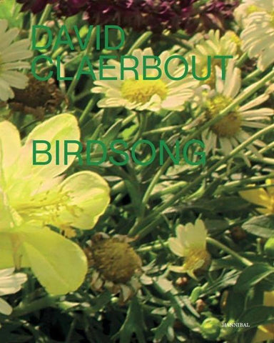 David Claerbout – Birdsong