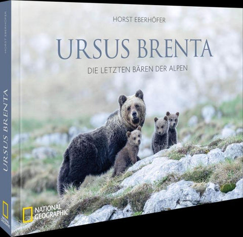 Ursus Brenta — Die Rückkehr der Bären in die Alpen