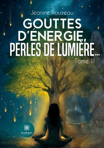 Gouttes d'Énergie, Perles de Lumière...