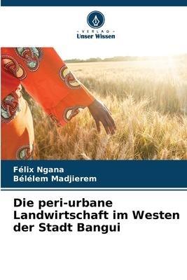 Die peri-urbane Landwirtschaft im Westen der Stadt Bangui