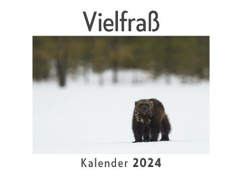 Vielfraß (Wandkalender 2024, Kalender DIN A4 quer, Monatskalender im Querformat mit Kalendarium, Das perfekte Geschenk)