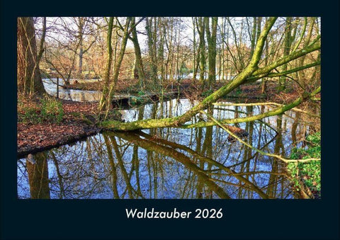 Waldzauber 2026 Fotokalender DIN A4