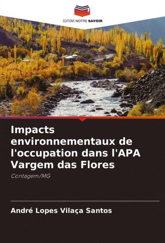 Impacts environnementaux de l'occupation dans l'APA Vargem das Flores