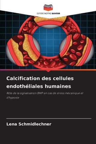 Calcification des cellules endothéliales humaines