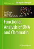 Functional Analysis of DNA and Chromatin