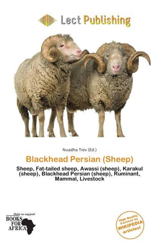 Blackhead Persian (Sheep)