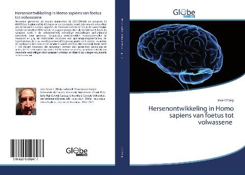 Hersenontwikkeling in Homo sapiens van foetus tot volwassene