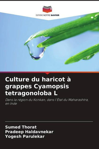 Culture du haricot à grappes Cyamopsis tetragonoloba L