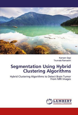 Segmentation Using Hybrid Clustering Algorithms
