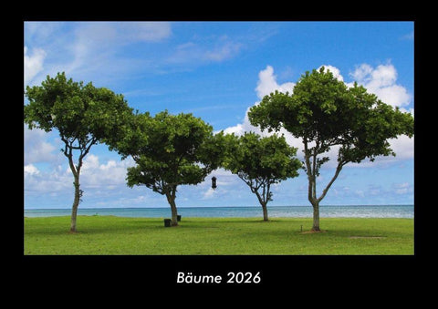 Bäume 2026 Fotokalender DIN A3
